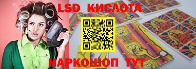apvp Свободный